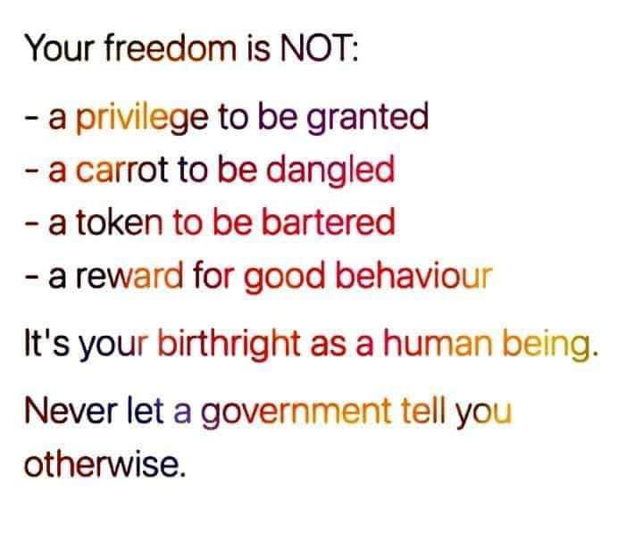 What freedom is not